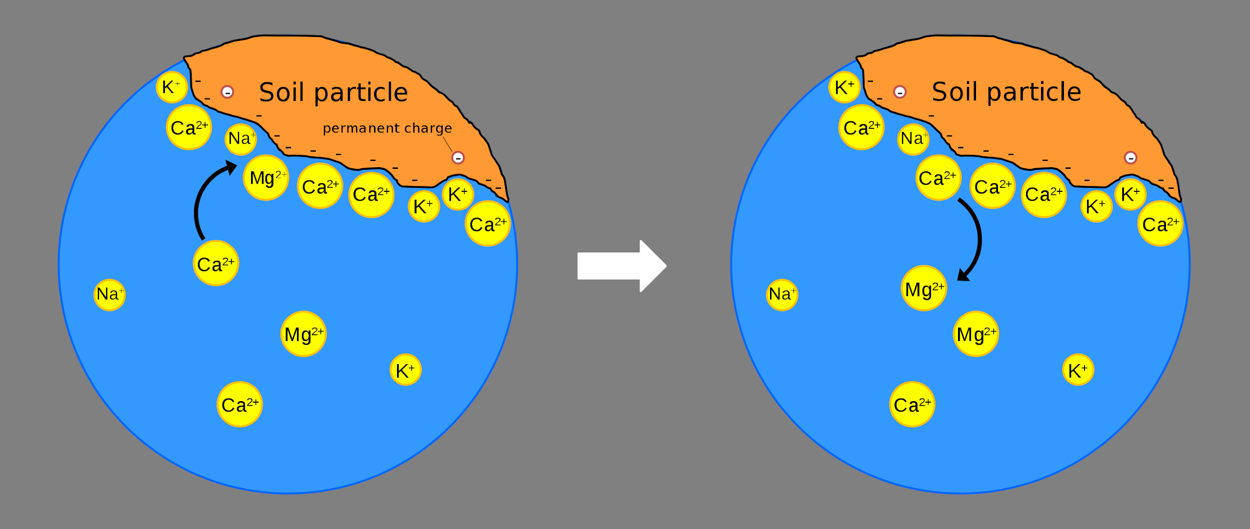 Cation exchange capacity